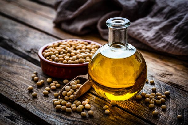 Soya bean and soy bean oil Plant tech international