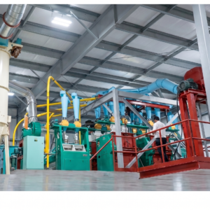 Seed preparation equipment - Plant tech Int
