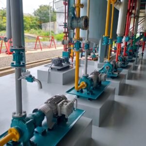Process Pumps